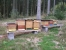 Logo für Bienenzüchterverein